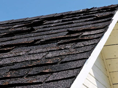 Busy Boys Roofing LTD Images