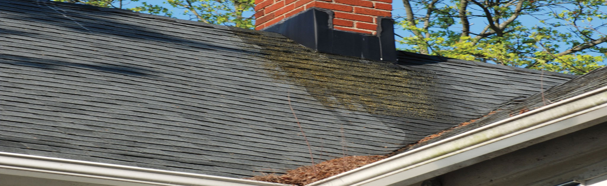 Busy Boys Roofing LTD Images